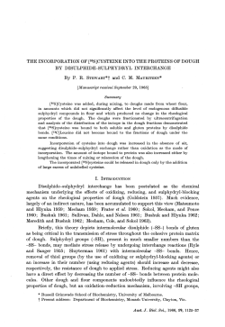 THE INOORPORATION OF [35S]OYSTEINE INTO THE PROTEINS
