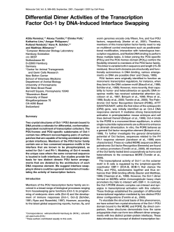 Differential Dimer Activities of the Transcription Factor Oct