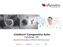 Cytoscan HD Sample Data na33.1