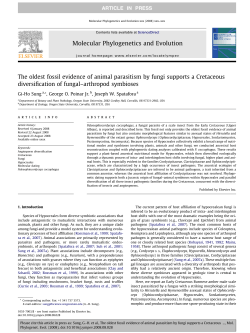 The oldest fossil evidence of animal parasitism by fungi supports a