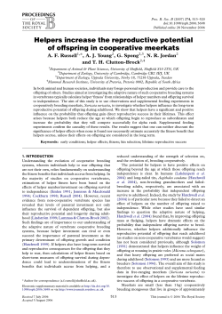 Helpers increase the reproductive potential of offspring in