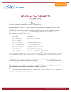 individual tax organizer (form 1040)