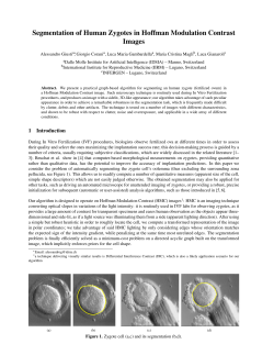 Segmentation of Human Zygotes in Hoffman
