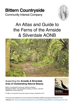 Bittern Countryside An Atlas and Guide to the Ferns of the Arnside