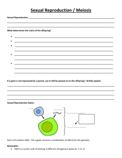Sexual Reproduction / Meiosis