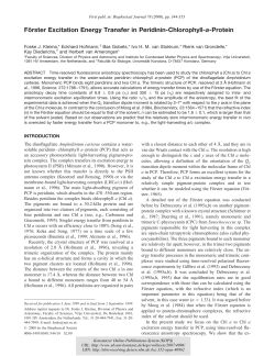 F&ouml;rster Excitation Energy Transfer in Peridinin