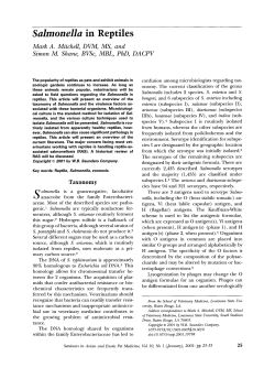 Salmonella in Reptiles - University of Illinois College of Veterinary