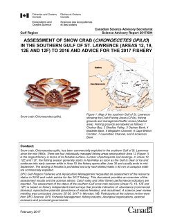 Assessment of snow crab (Chionoecetes opilio) in the southern Gulf