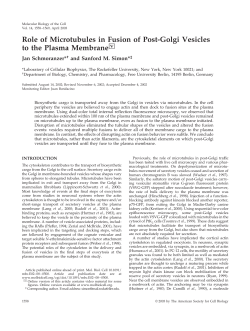 Role of Microtubules in Fusion of Post