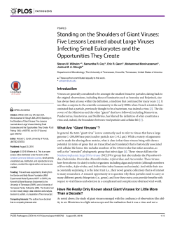 Standing on the Shoulders of Giant Viruses: Five Lessons Learned