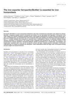 The iron exporter ferroportin/Slc40a1 is essential for iron homeostasis