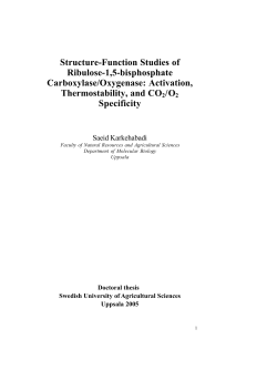 Structure-Function Studies of Ribulose-1,5