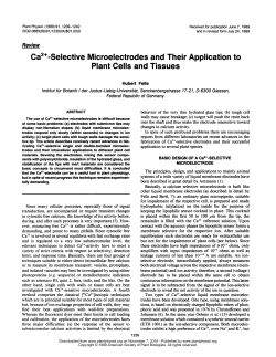 Ca2k-Selective Microelectrodes and Their Application to Plant Cells