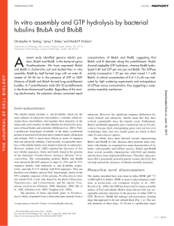 In vitro assembly and GTP hydrolysis by bacterial tubulins BtubA