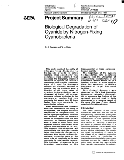 Biological Degradation of Cyanide by Nitrogen