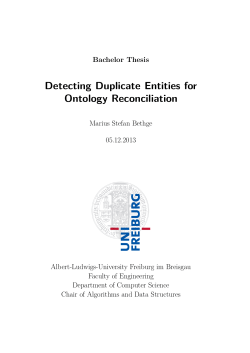 Bachelor Thesis - Marius Stefan Bethge