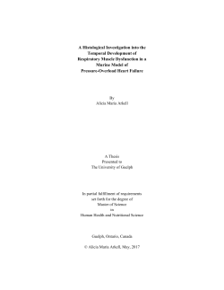 A Histological Investigation into the Temporal