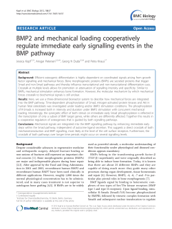 BMP2 and mechanical loading cooperatively regulate immediate
