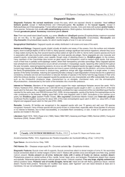 Oegopsid Squids - Food and Agriculture Organization of the United