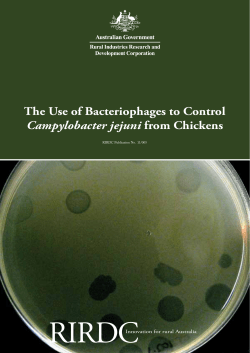 The Use of Bacteriophages to Control Campylobacter