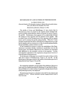 METABOLISM OF S AND R FORMS OF