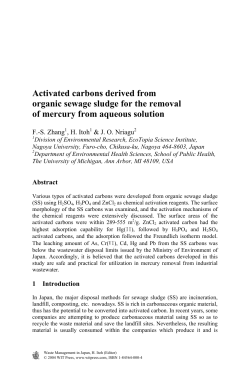 Activated carbons derived from organic sewage sludge