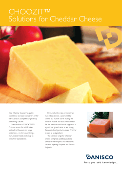 CHOOZIT&trade; Solutions for Cheddar Cheese