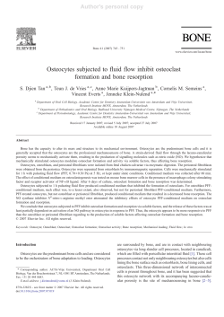 Osteocytes subjected to fluid flow inhibit osteoclast
