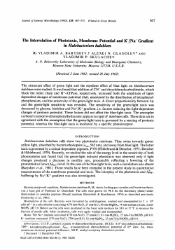 The Interrelation of Phototaxis, Membrane Potential