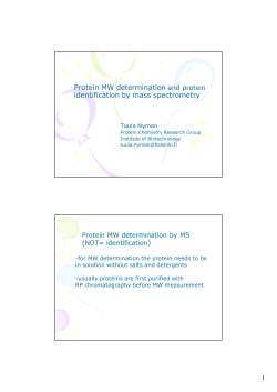 Protein MW determination and protein identification by mass