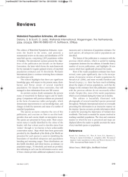 IrishBirds2007 5th Feb