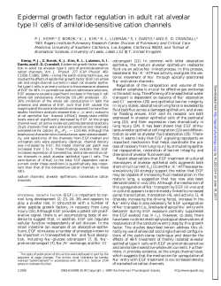 ACELL December 46/6 - AJP-Cell
