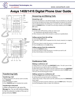 Avaya 1408/1416 Digital Phone User Guide