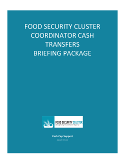 Food security cluster coordinator cash transfers briefing package