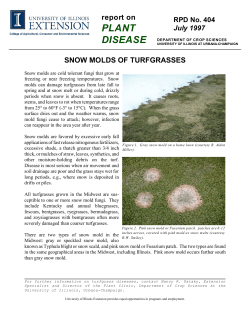 Snow Molds of Turfgrasses - IPM - University of Illinois Urbana