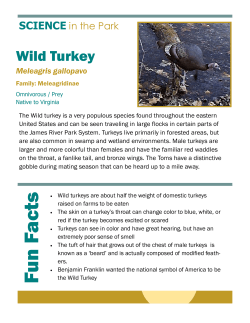 Fun Fa cts - James River Park System