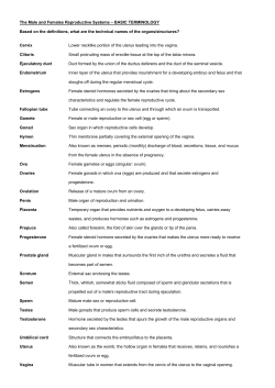 The Reproductive System: Words to Know