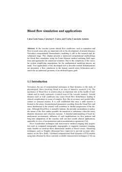 Blood flow simulation and applications