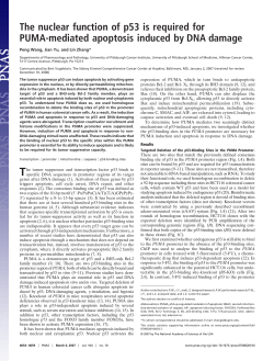 The nuclear function of p53 is required for PUMA