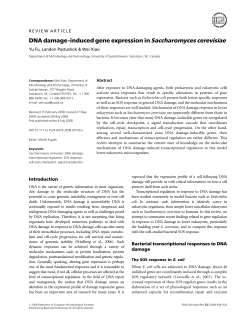DNA damage-induced gene expression in Saccharomyces cerevisiae