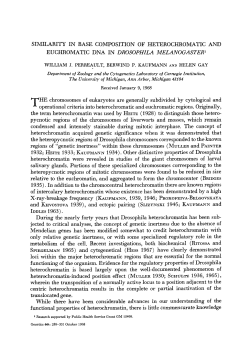 euchromatic dna in drosophila melanogasteri iddles