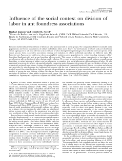 Influence of the social context on division of labor