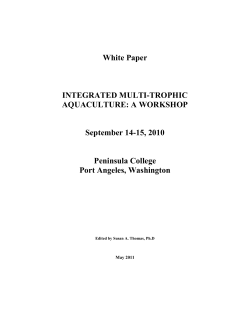 Here - Global Aquaculture Alliance