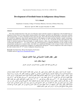 Development of forelimb bones in indigenous