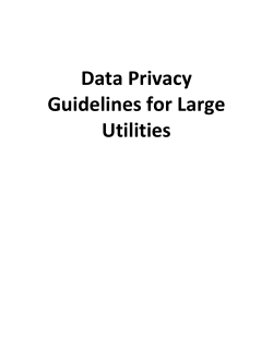 Data Privacy Guidelines for Large Utilities