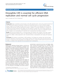 Drosophila Ctf4 is essential for efficient DNA replication and normal