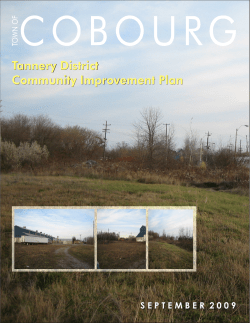 Tannery Community Improvement Plan