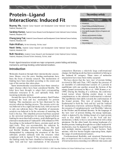 Protein&ndash;Ligand Interactions: Induced Fit