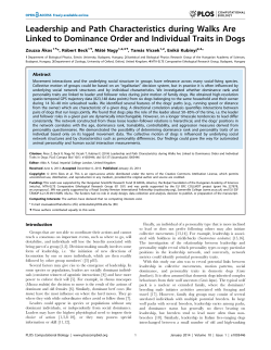 Leadership and Path Characteristics during Walks Are Linked to
