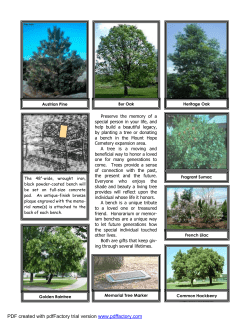 Cemetery Memorial Catalog